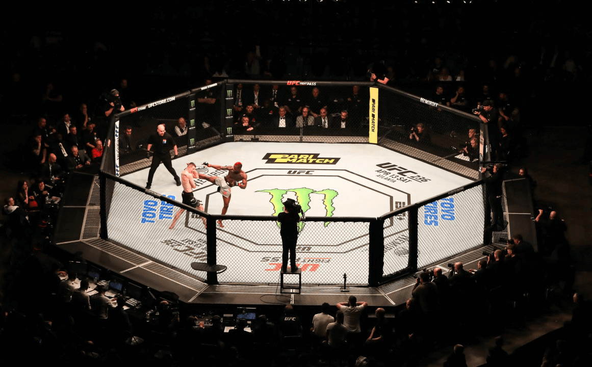 Cage de MMA montrant un match en cours