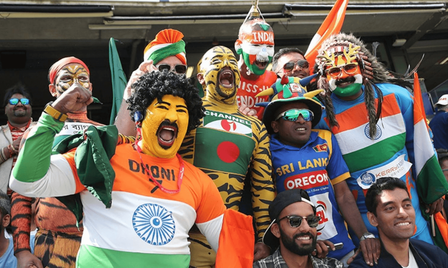 Supporters during cricket